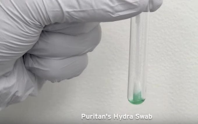 Puritan hydraflock 6 sterile elongated flock swab breakpoint polystyrene handle