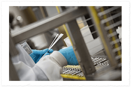 Person in a lab coat and gloves holding tweezers in a laboratory setting