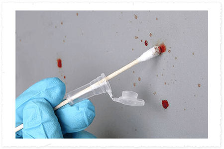 Glove holding a swab with blood samples