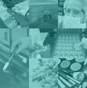 Environmental + Food Safety